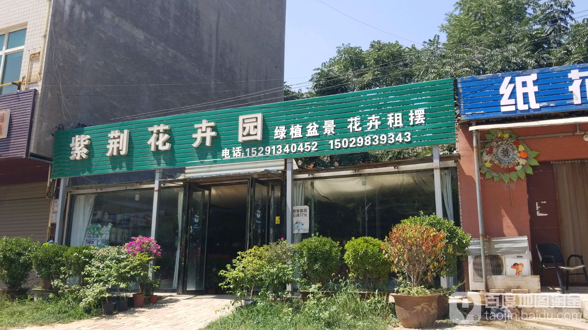 紫荆花卉园