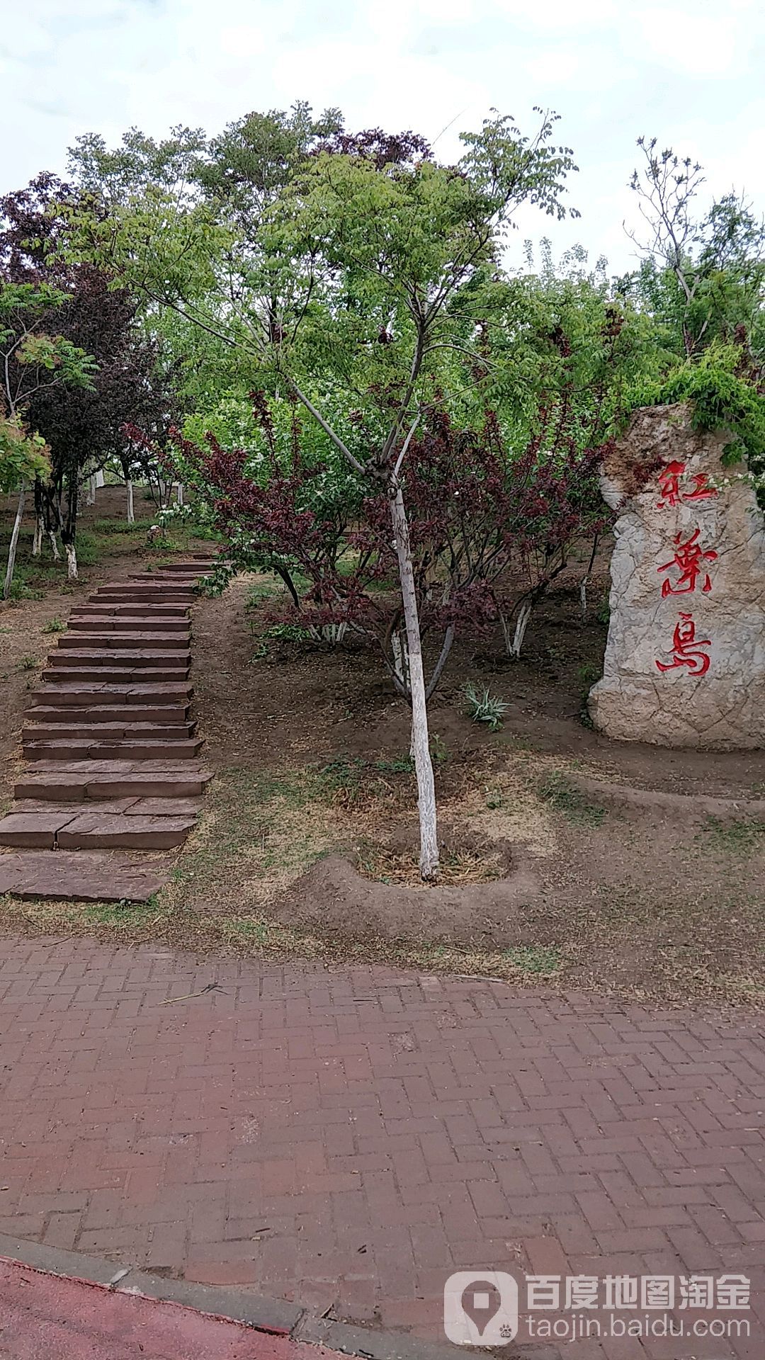 红专岛