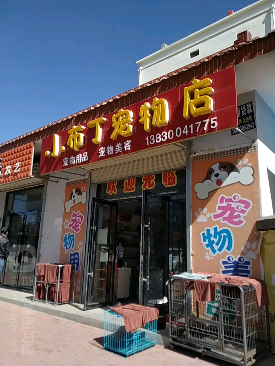 小布丁宠物店