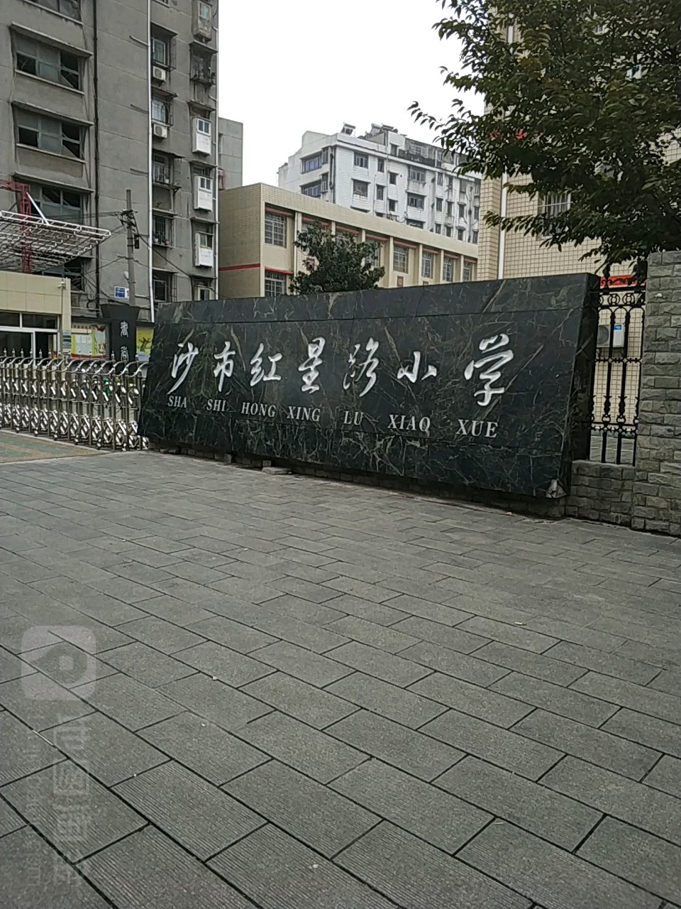 沙市红星路小学