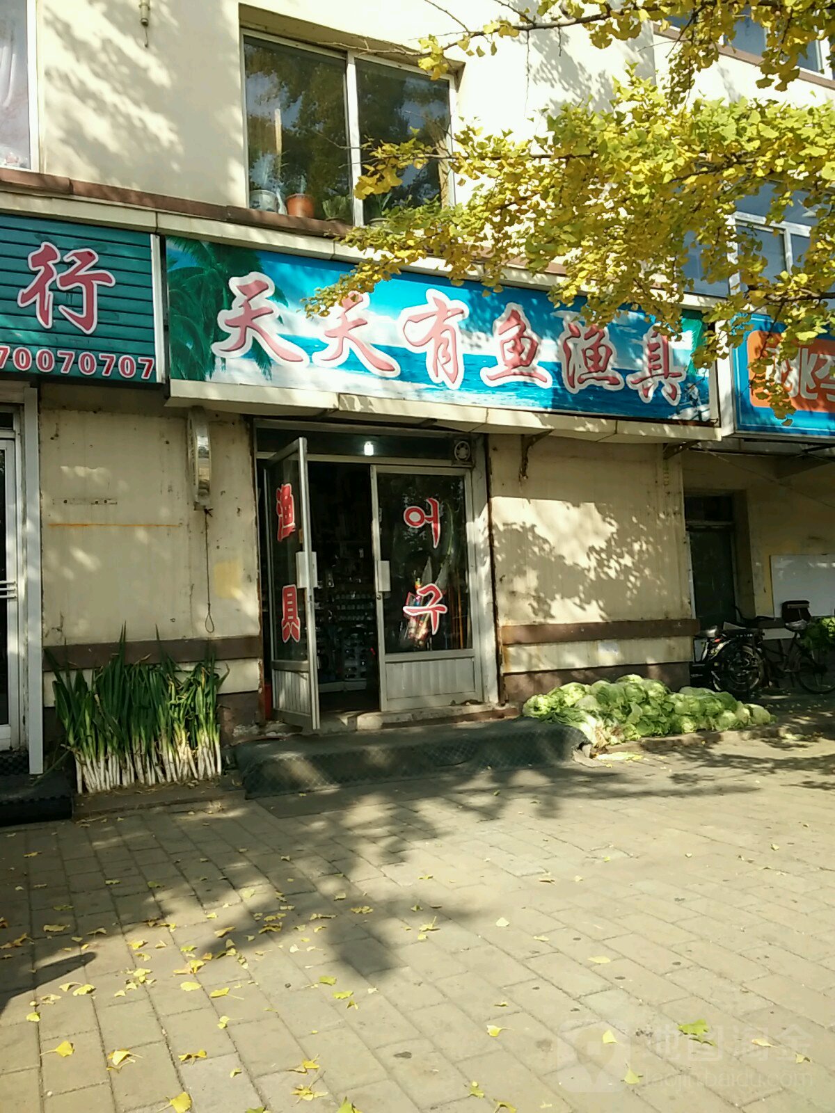 天天有鱼渔具