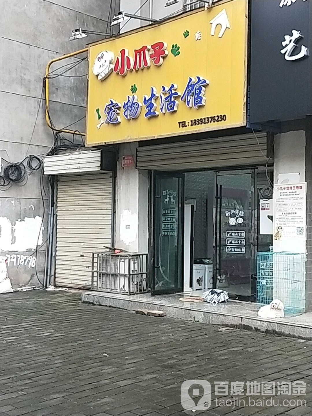 小爪子宠物生活馆