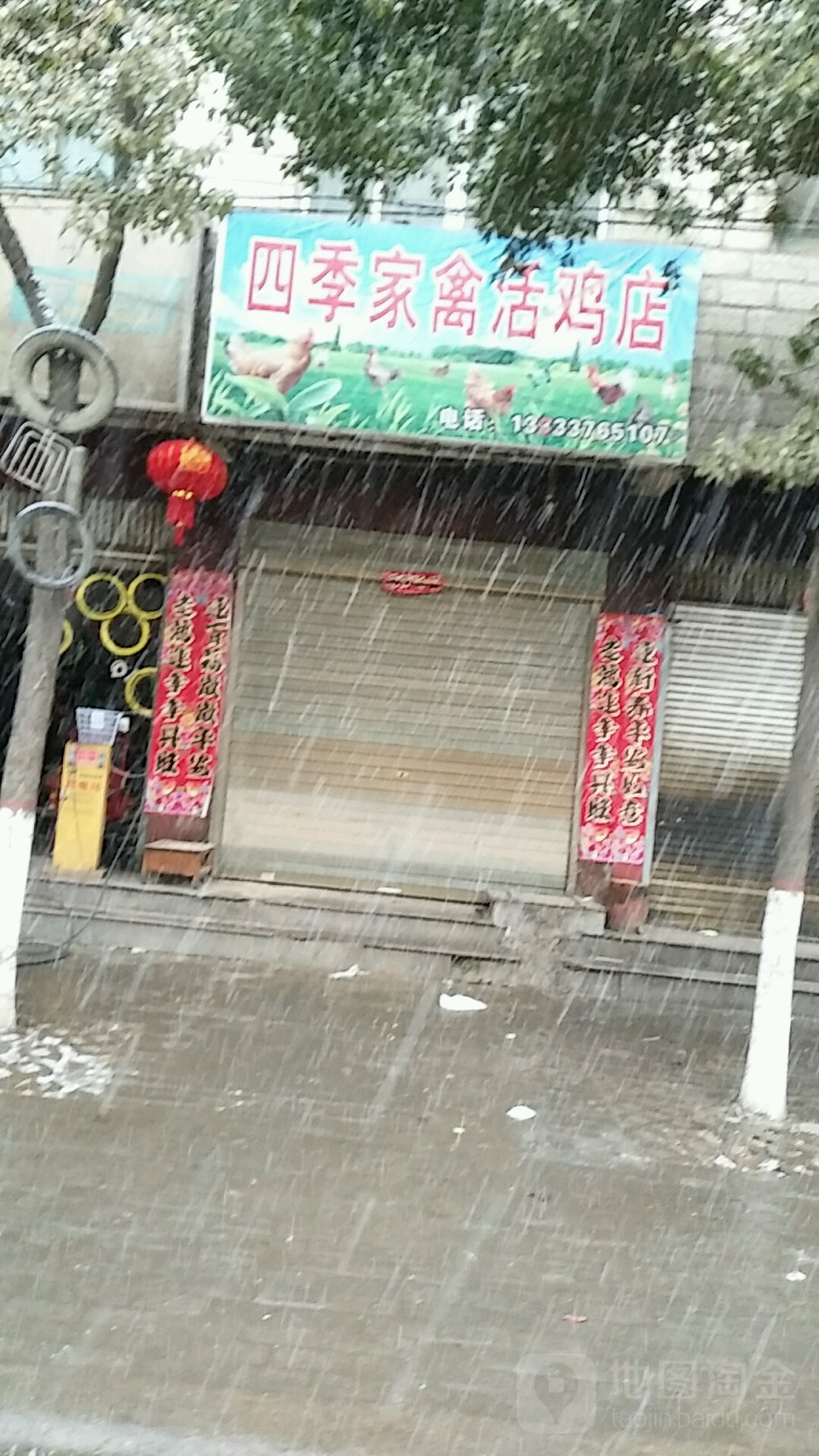 息县四季家禽活鸡店