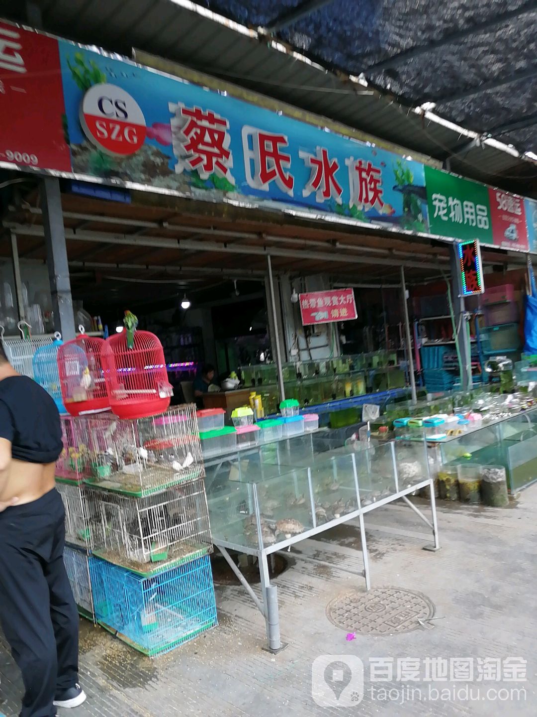 蔡四水族馆(天胜花鸟店)