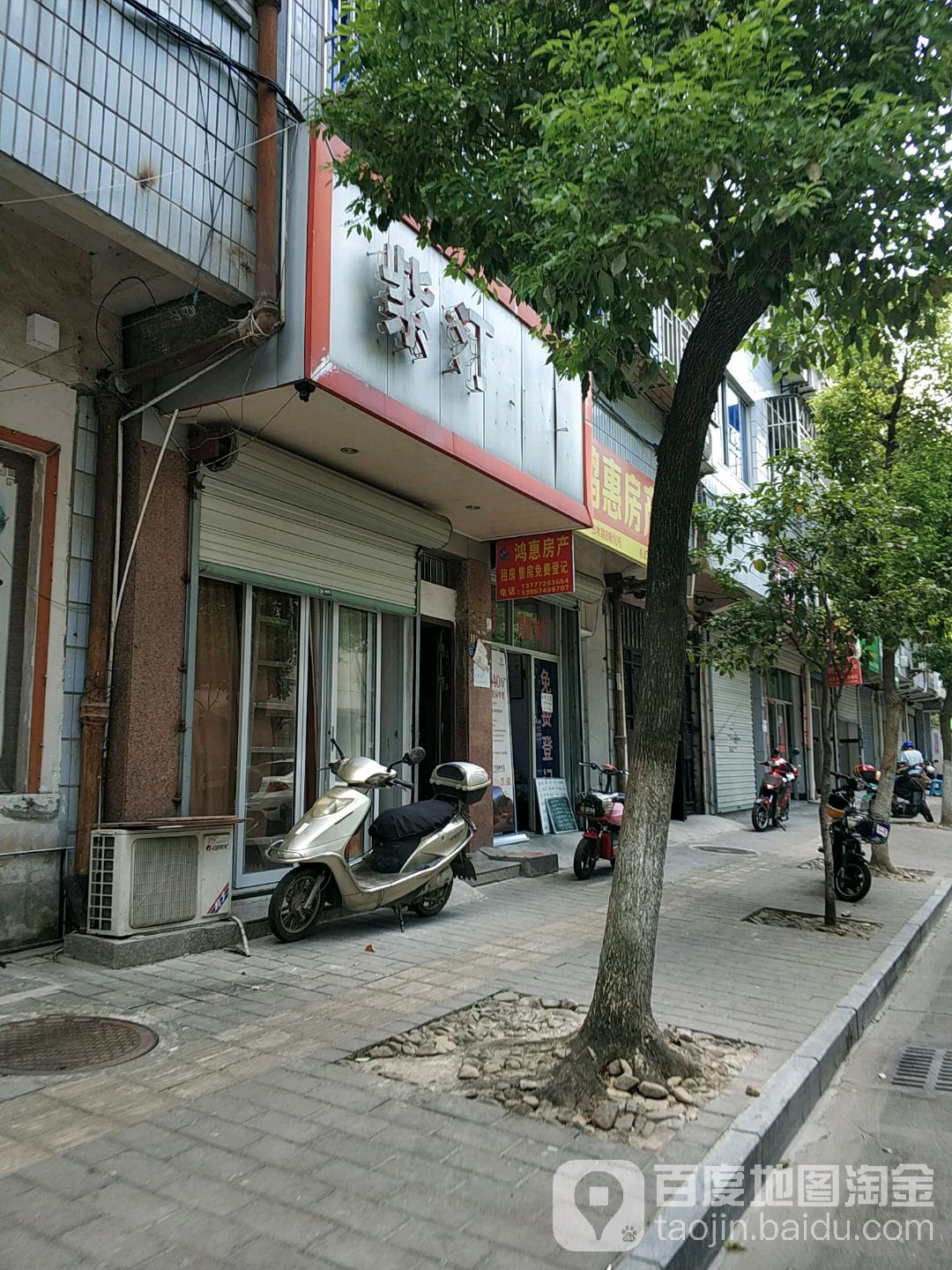 紫汀