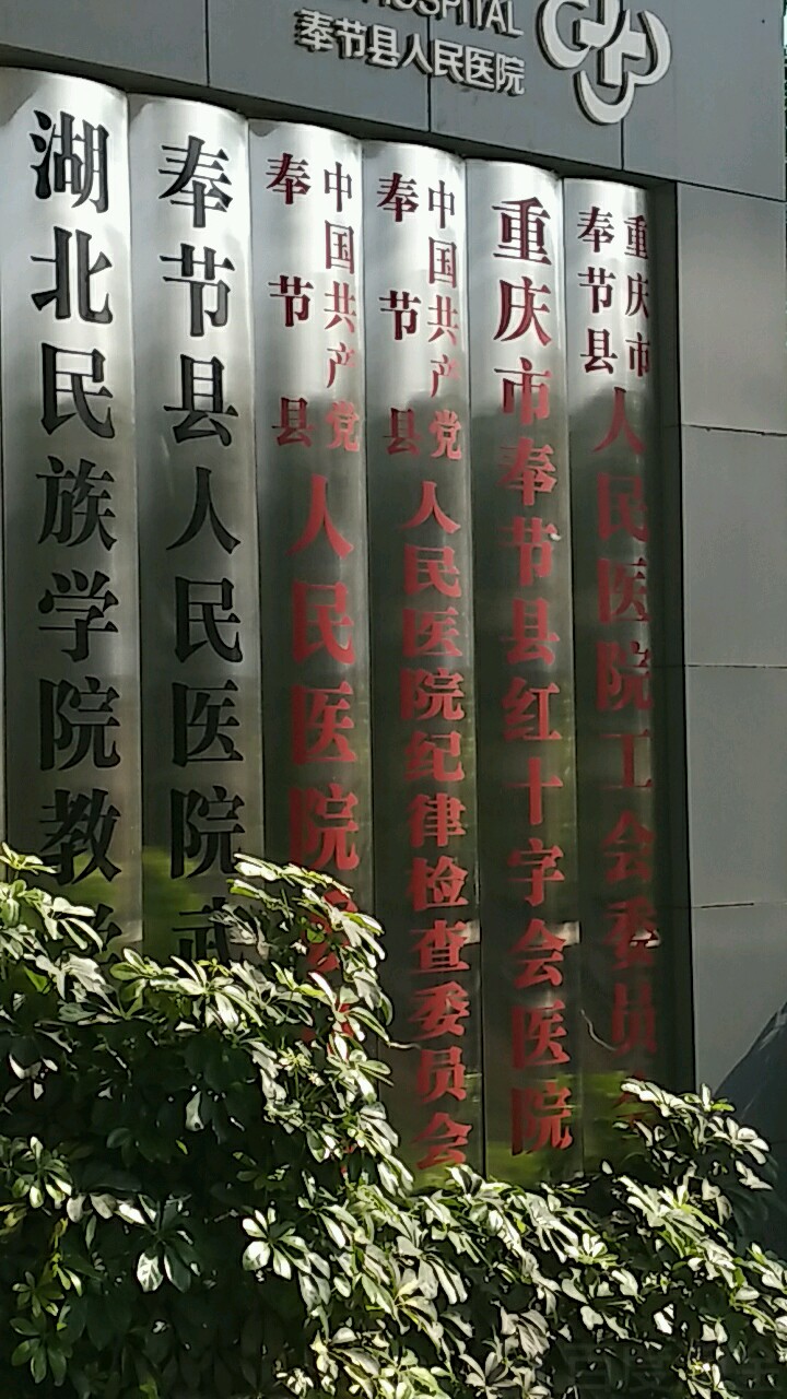 中共奉节县人民医院纪律检查委员会