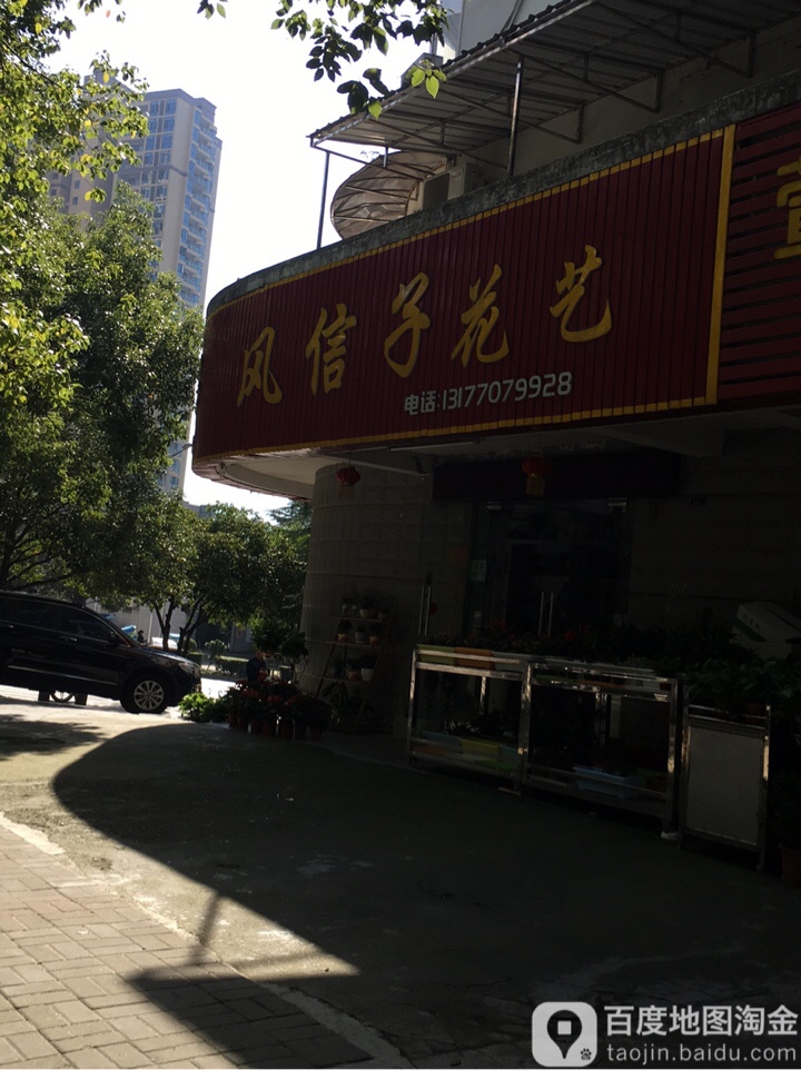风信子花艺(屈原西路店)