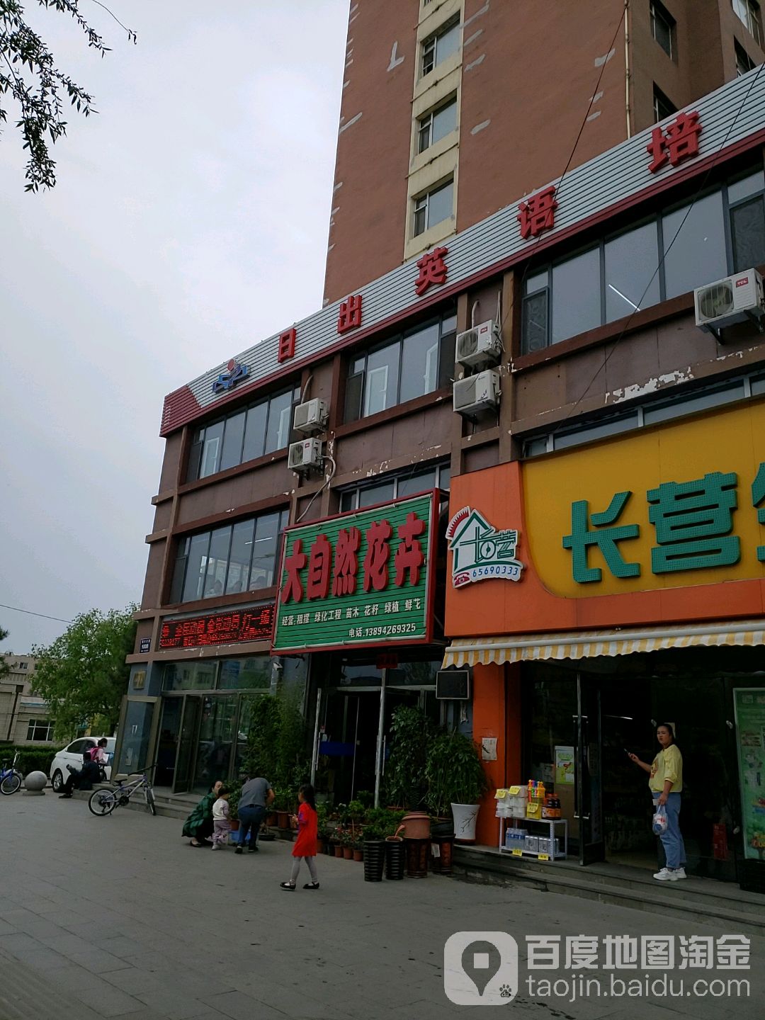 大自然花卉(振兴大街店)