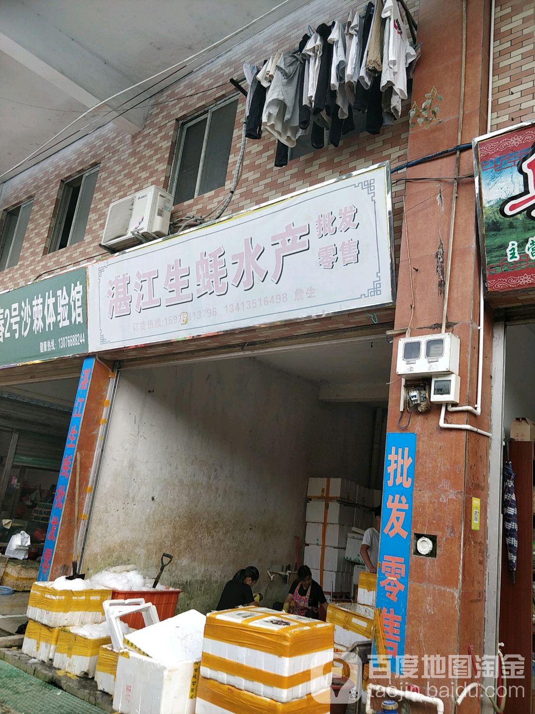 湛江生蚝水产批发云零售