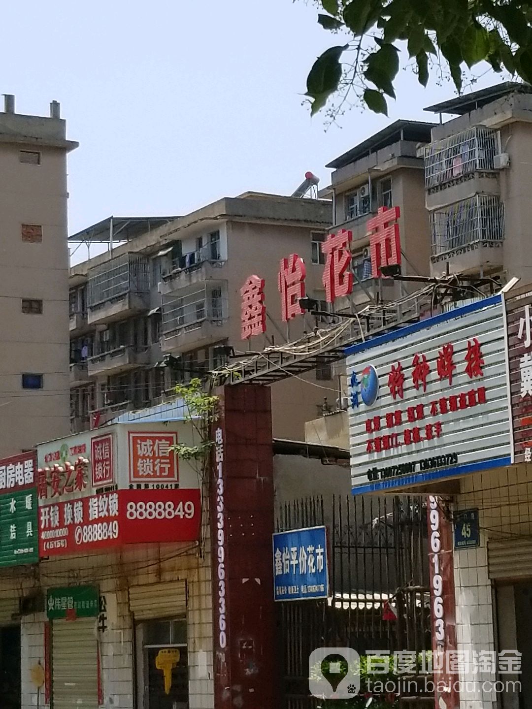 鑫怡平价花卉