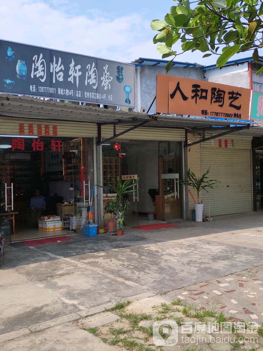 陶怡轩