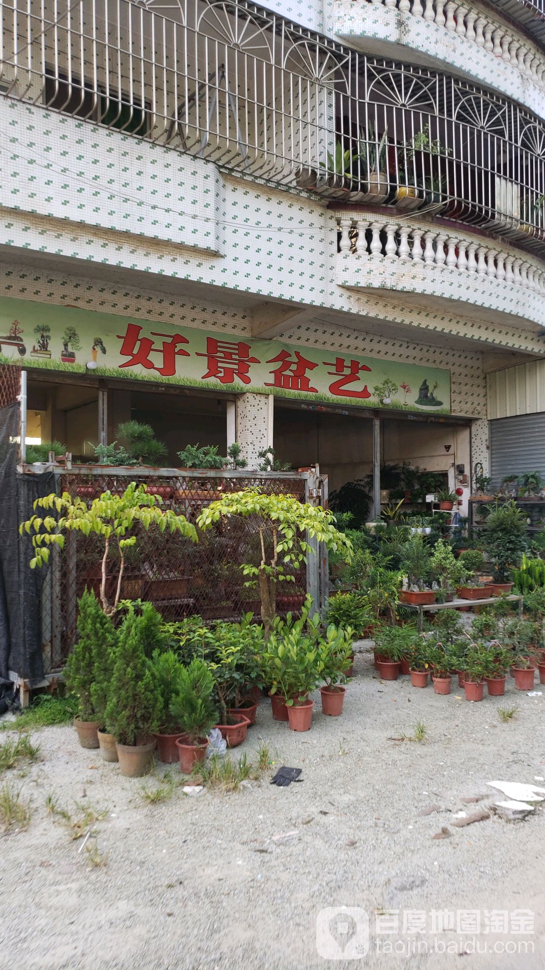 好景盆艺