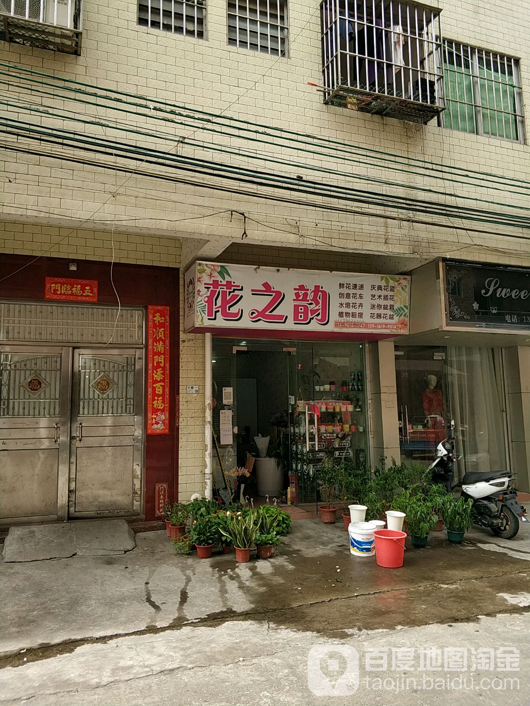 花之韵