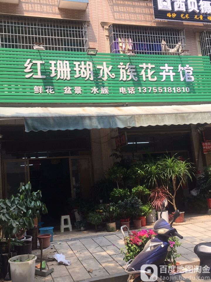 红珊瑚水族花卉馆(新月小区店)