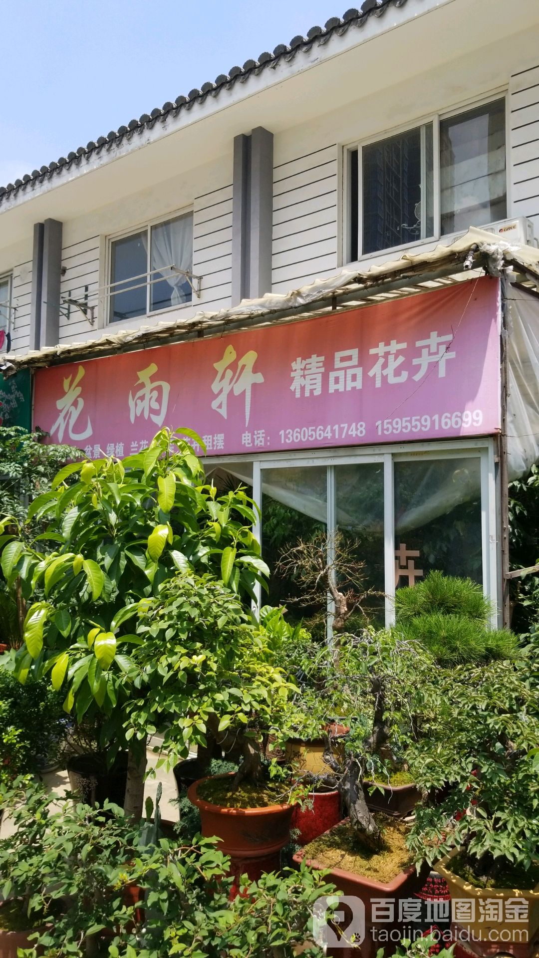 花雨轩精品花卉