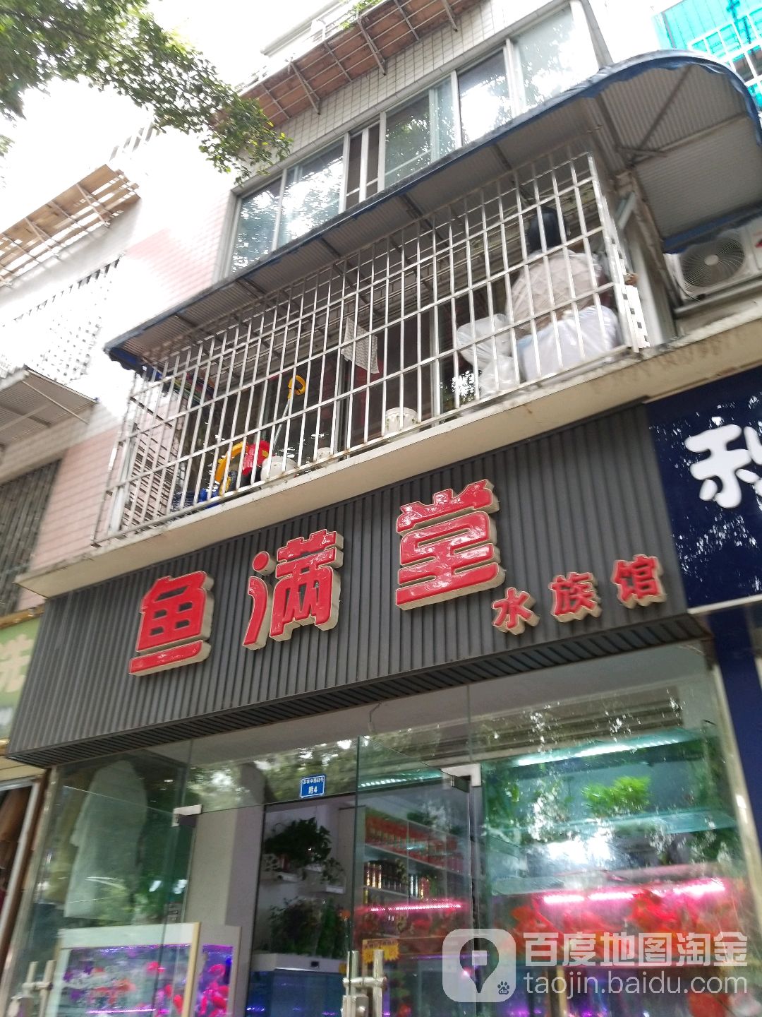 金满塘水族馆(中鹏花园C区店)