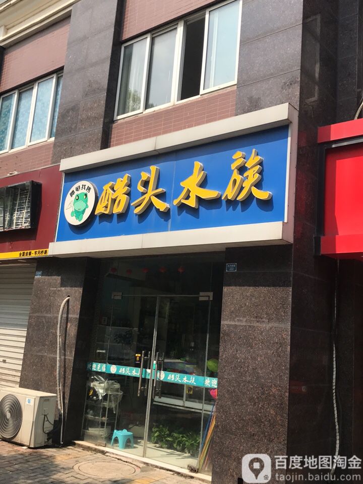 神龟我售酷头水族
