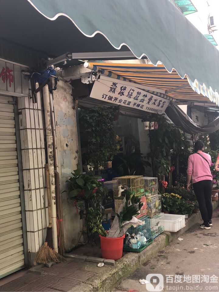 淼缘绿植盆景水族箱