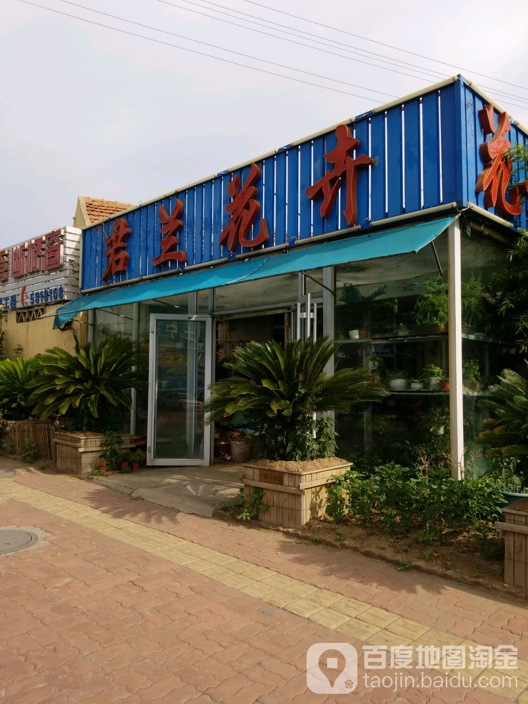 君兰花卉(科技路店)