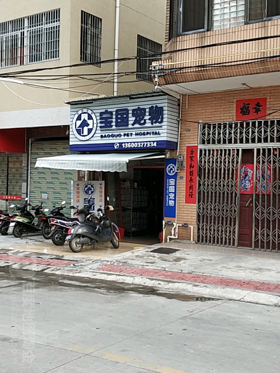 宝国宠物店