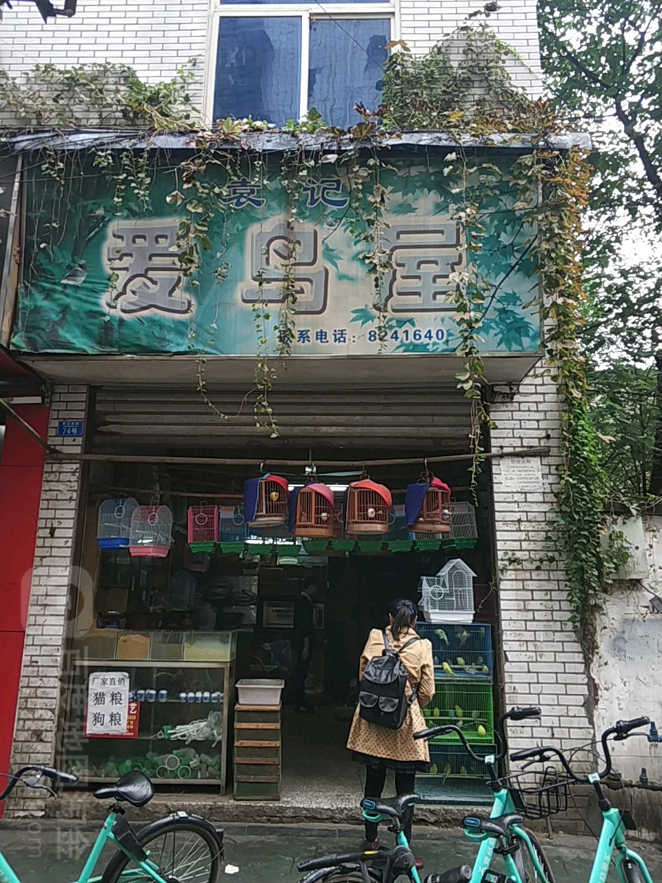 袁记爱鸟屋
