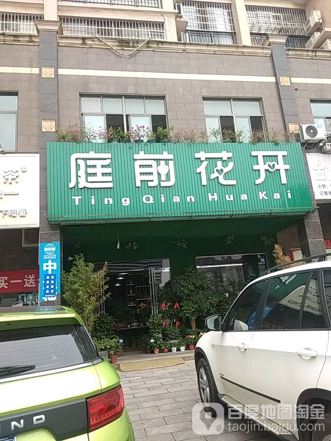 庭前花开