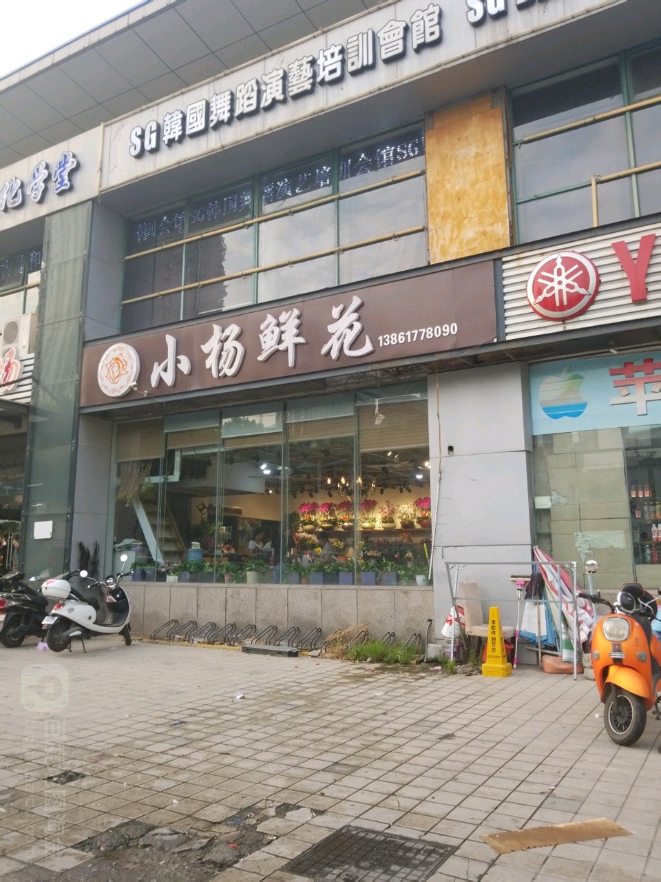 小杨鲜花(县前西街店)