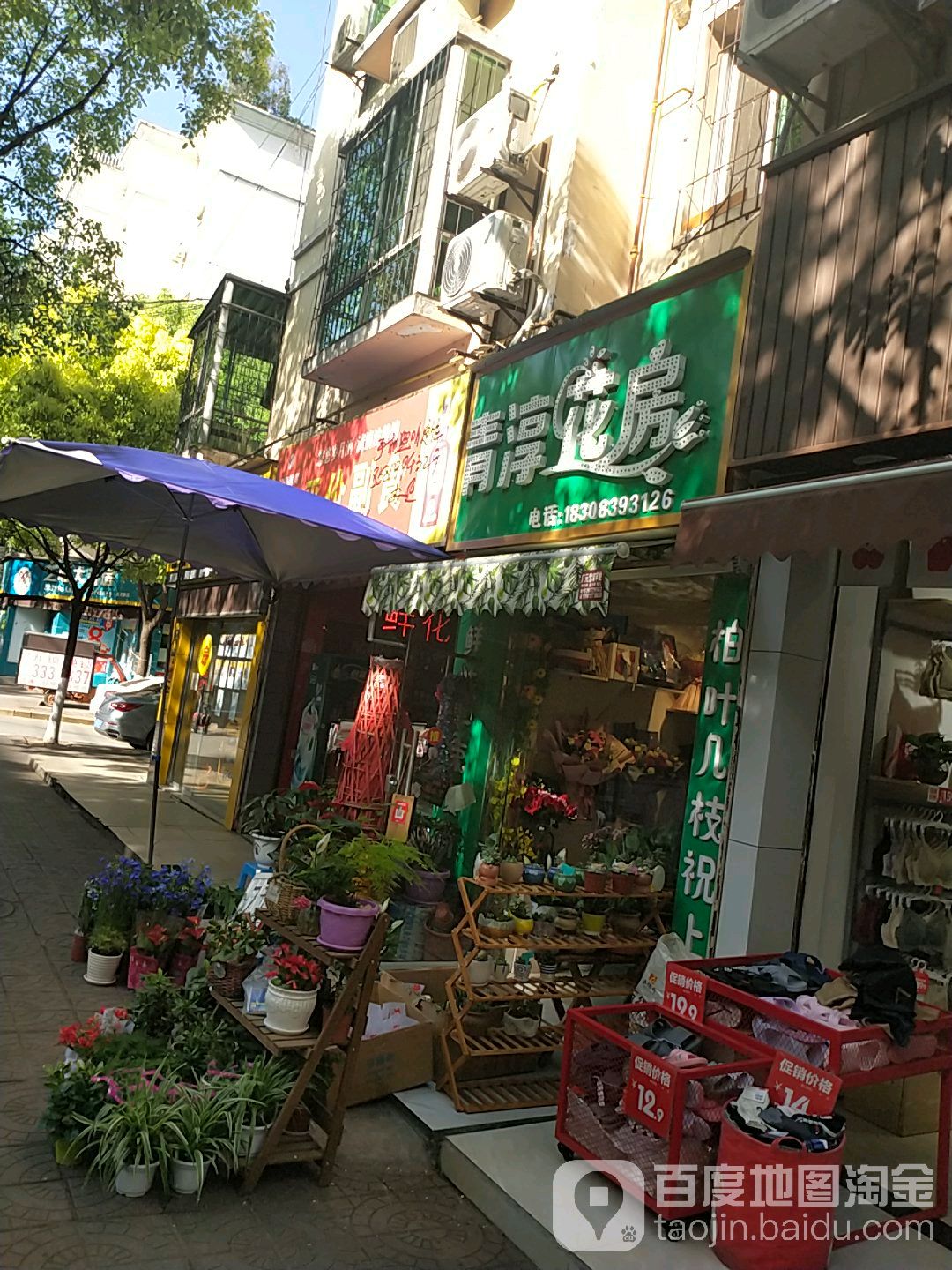 青淳花房