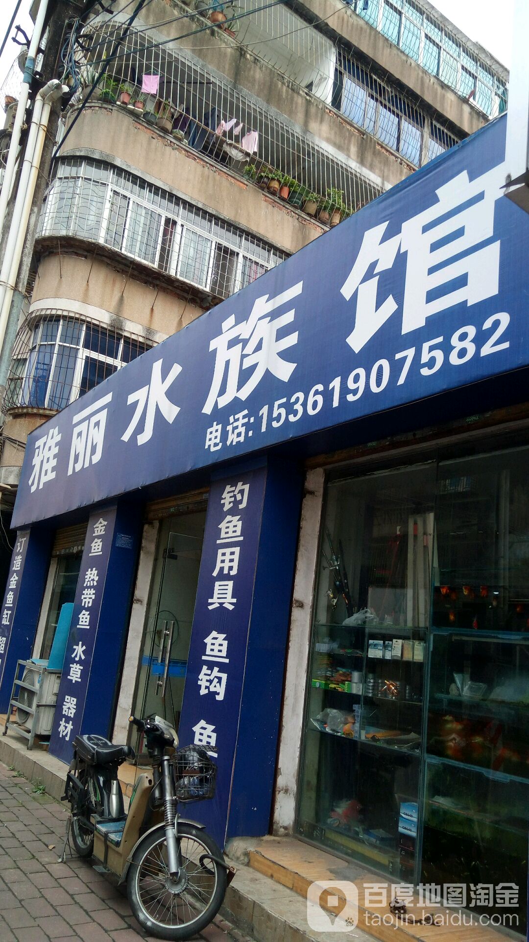 雅丽水族馆