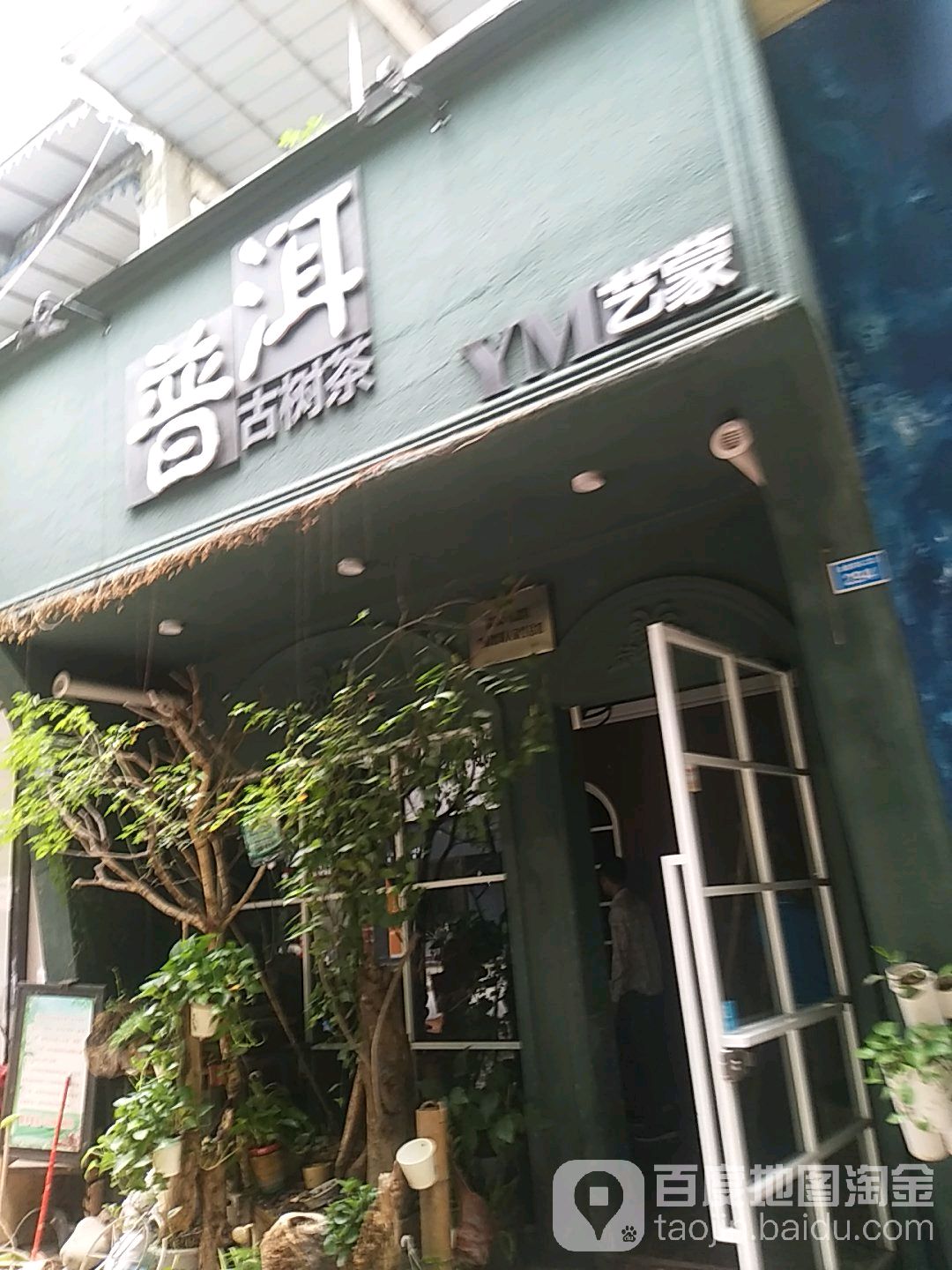 普洱古树茶
