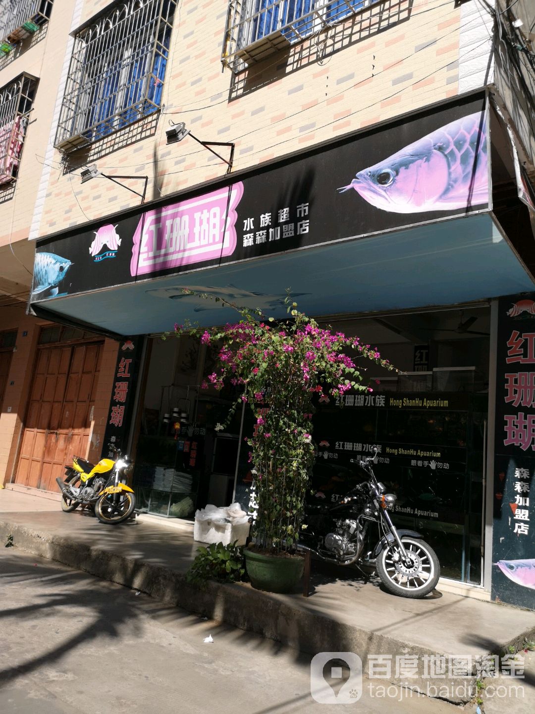 红珊瑚水族超市(森森加盟店)