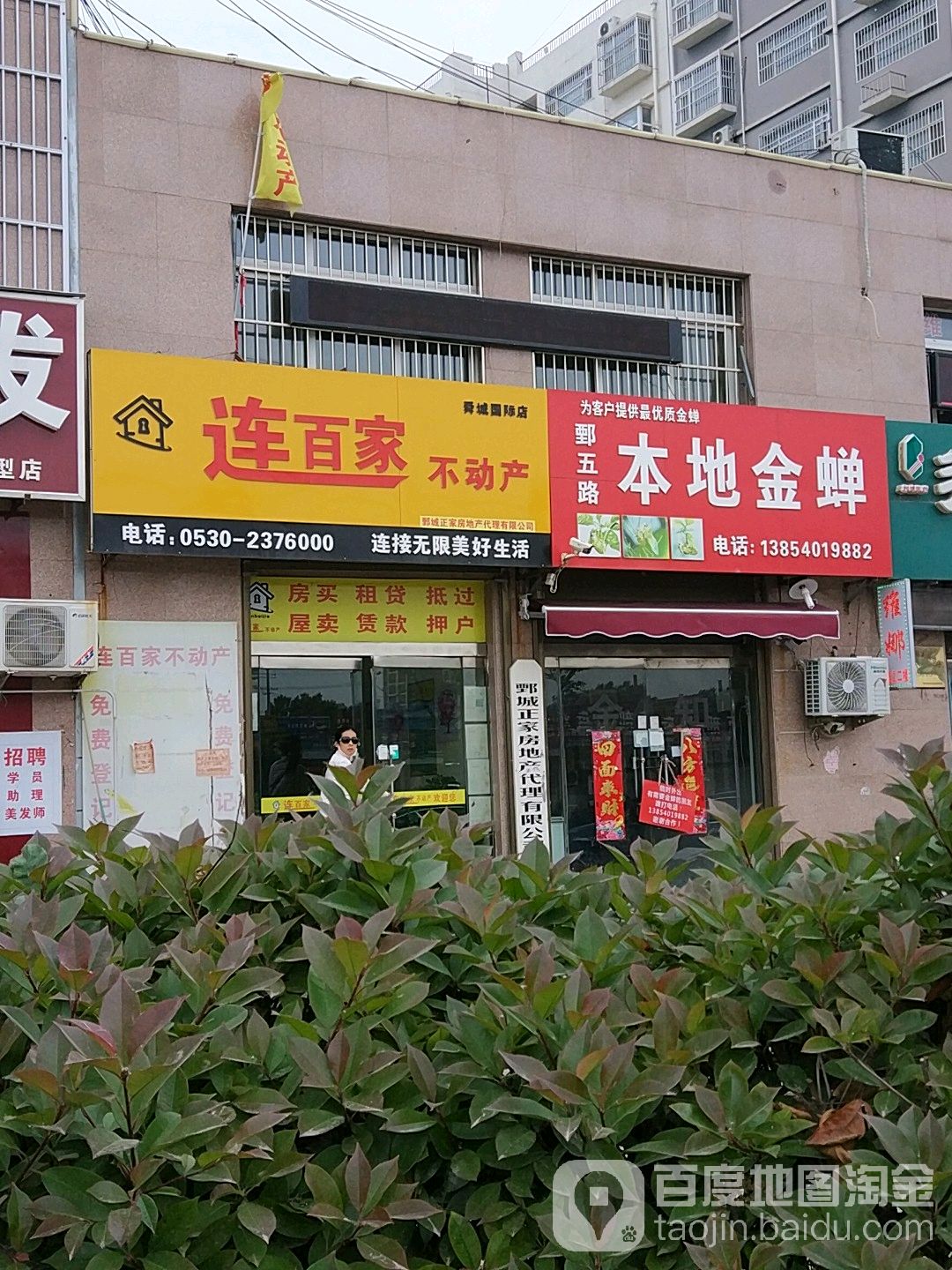 鄄五路本地金蝉