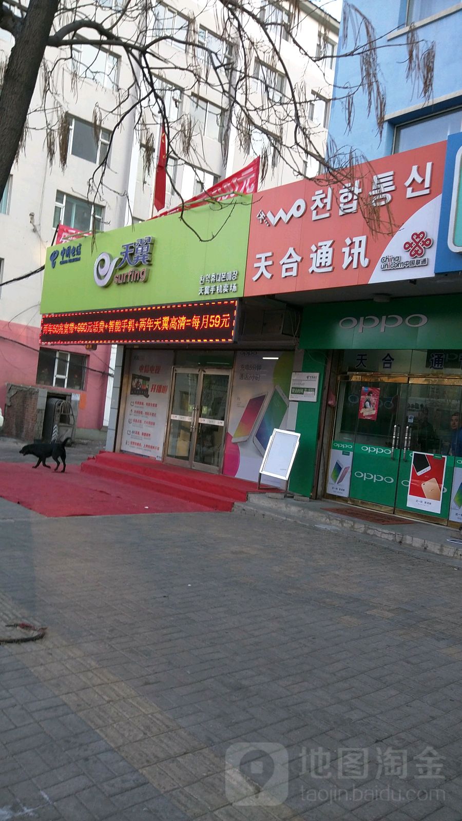 天马通讯(口岸大街店)