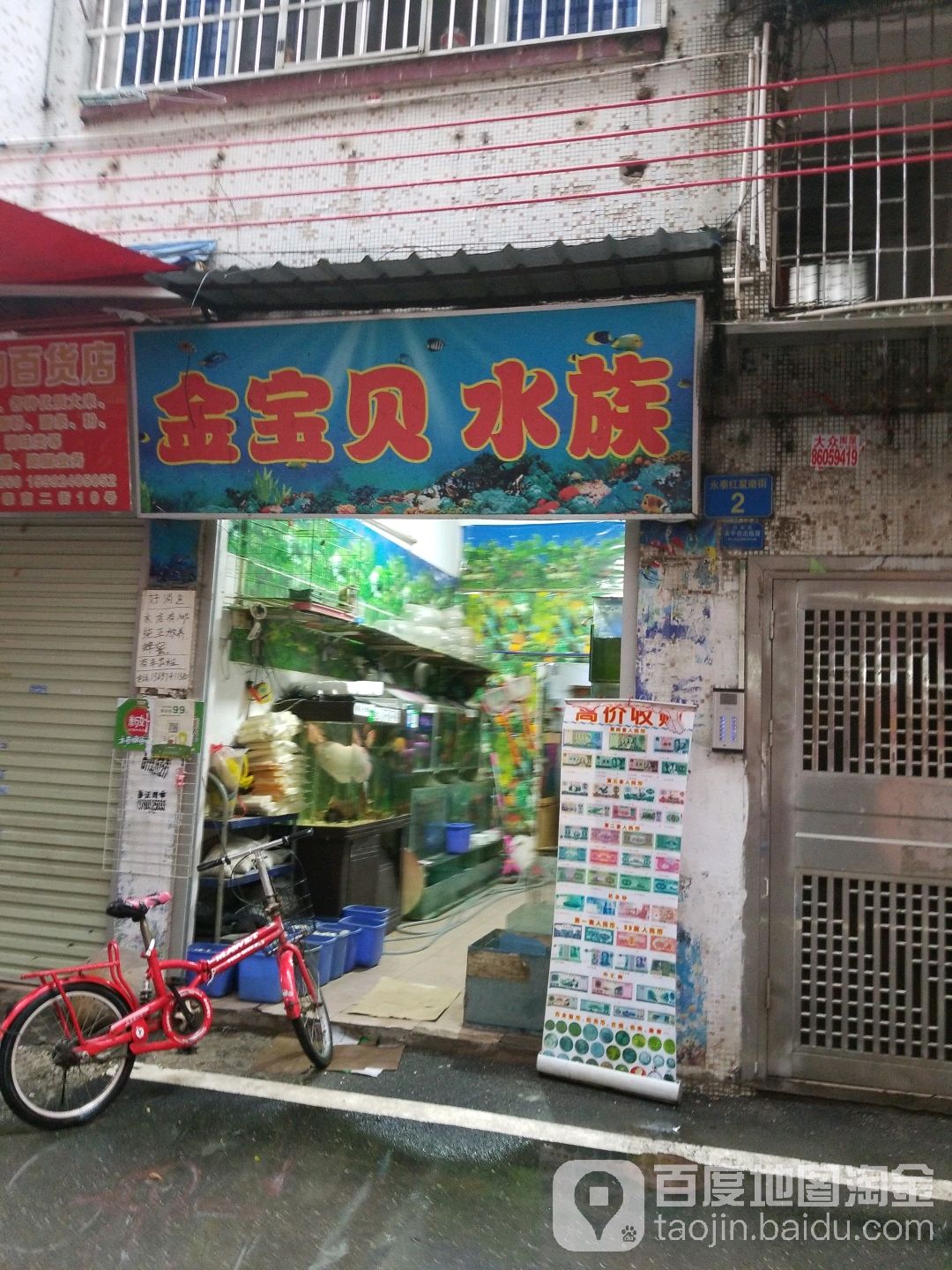 金宝贝水族