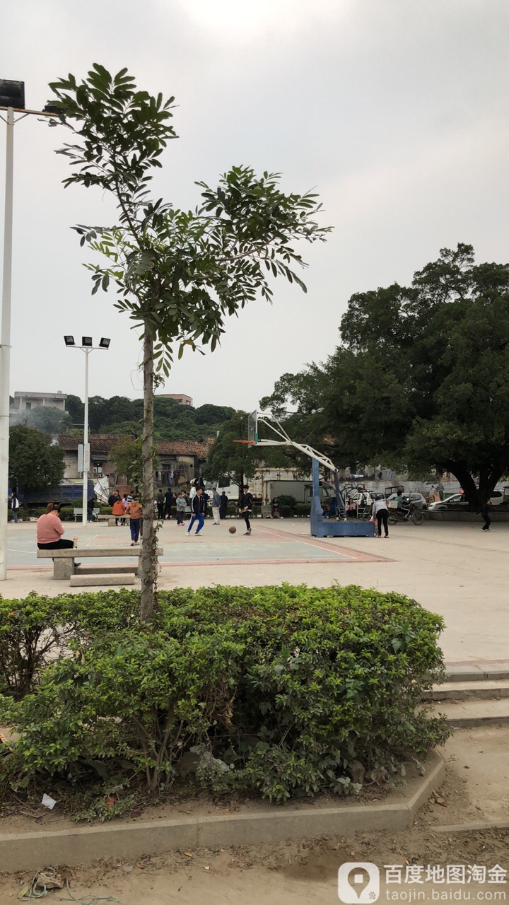 篮球场