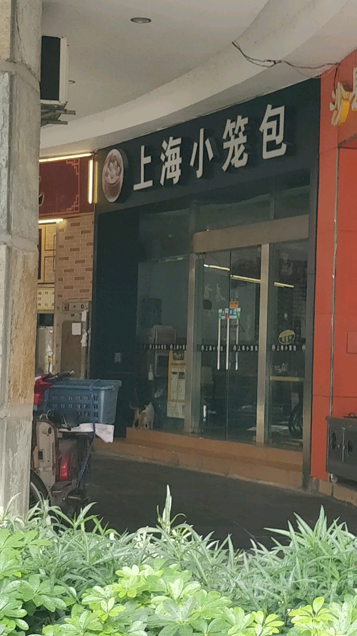 上海小笼包(环湖路店)