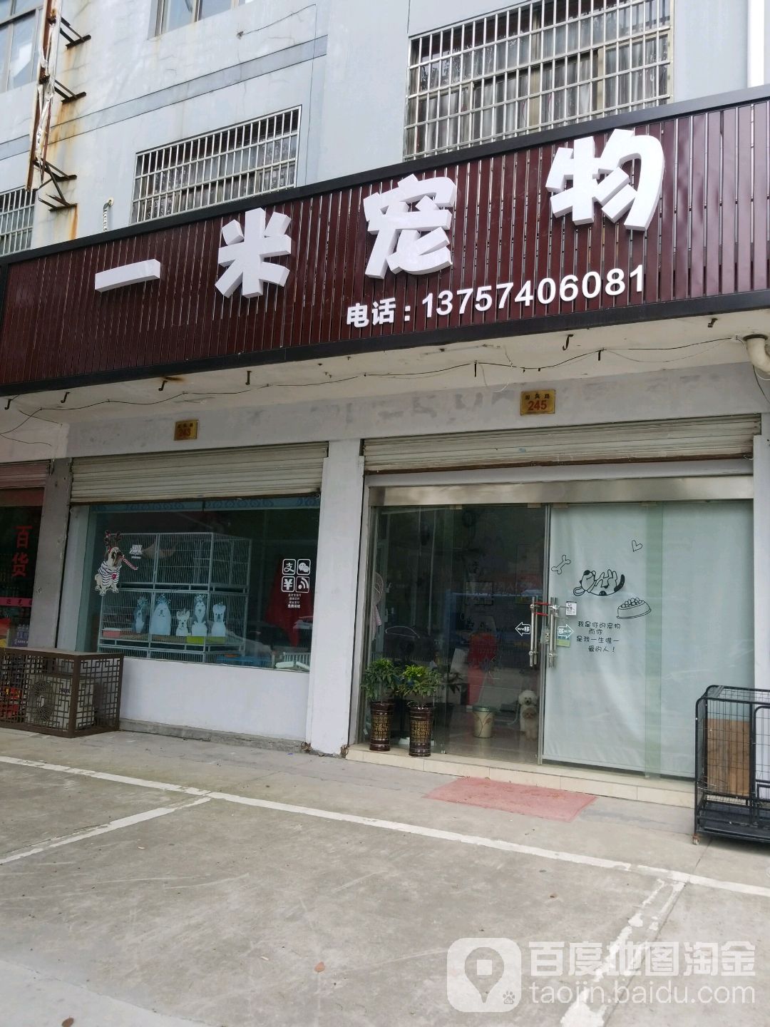 一米宠物