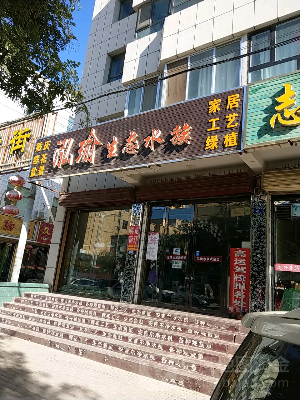 泓瑜生态水族