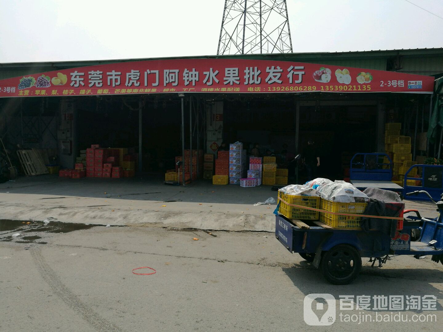 东莞市虎门阿钟水果批发行