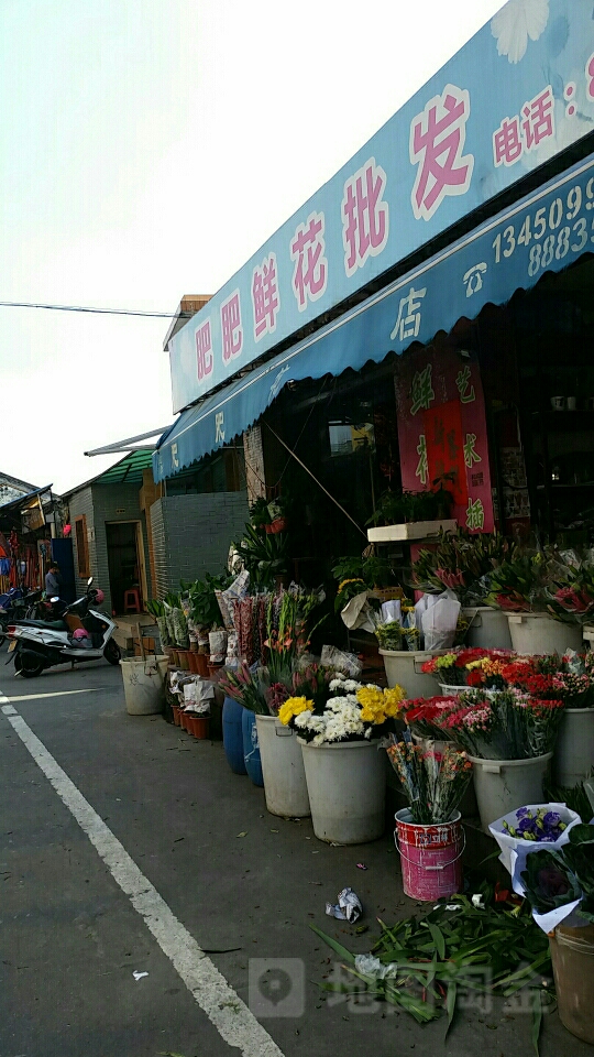 肥肥鲜花批发