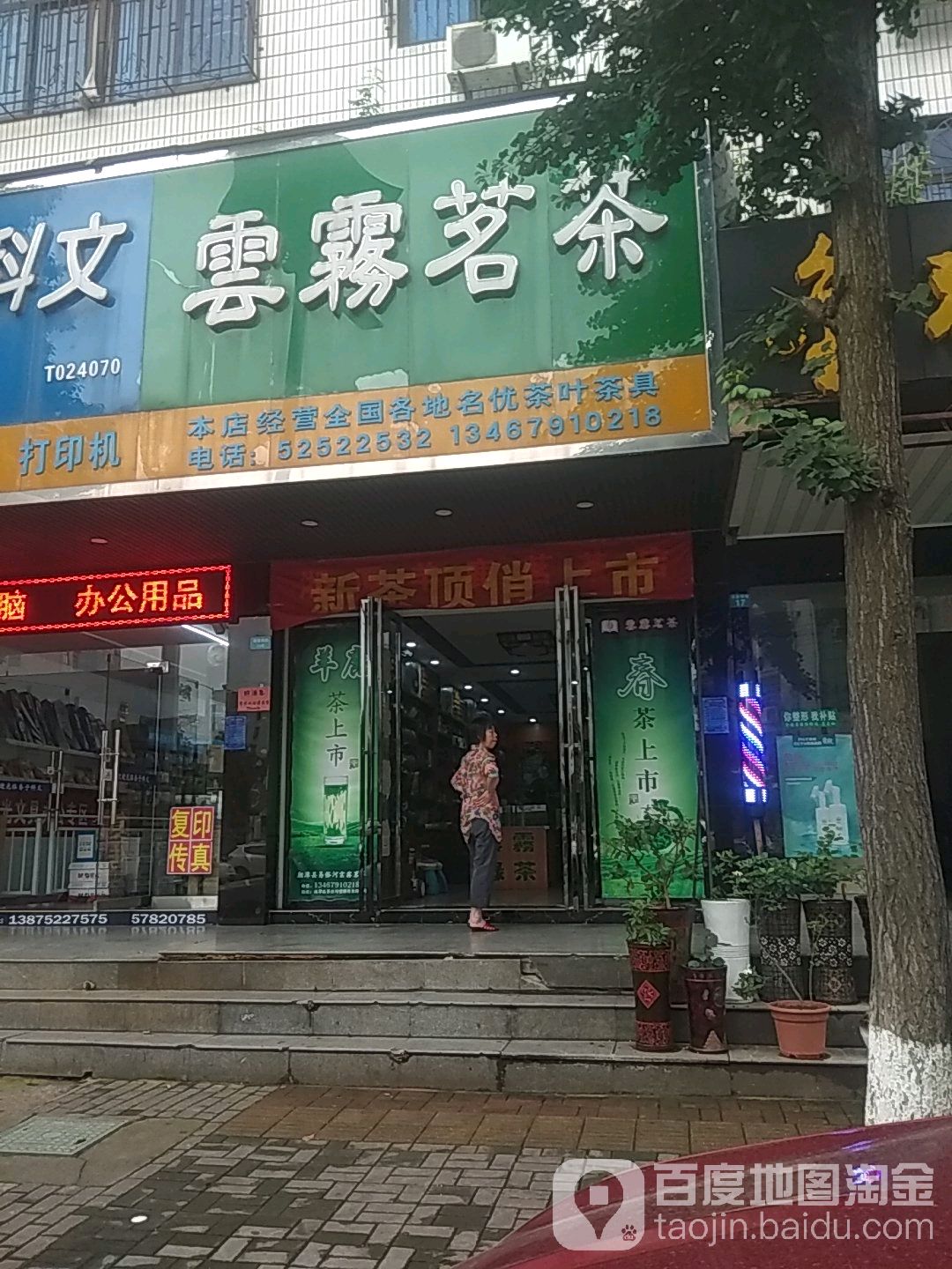 云雾茗茶