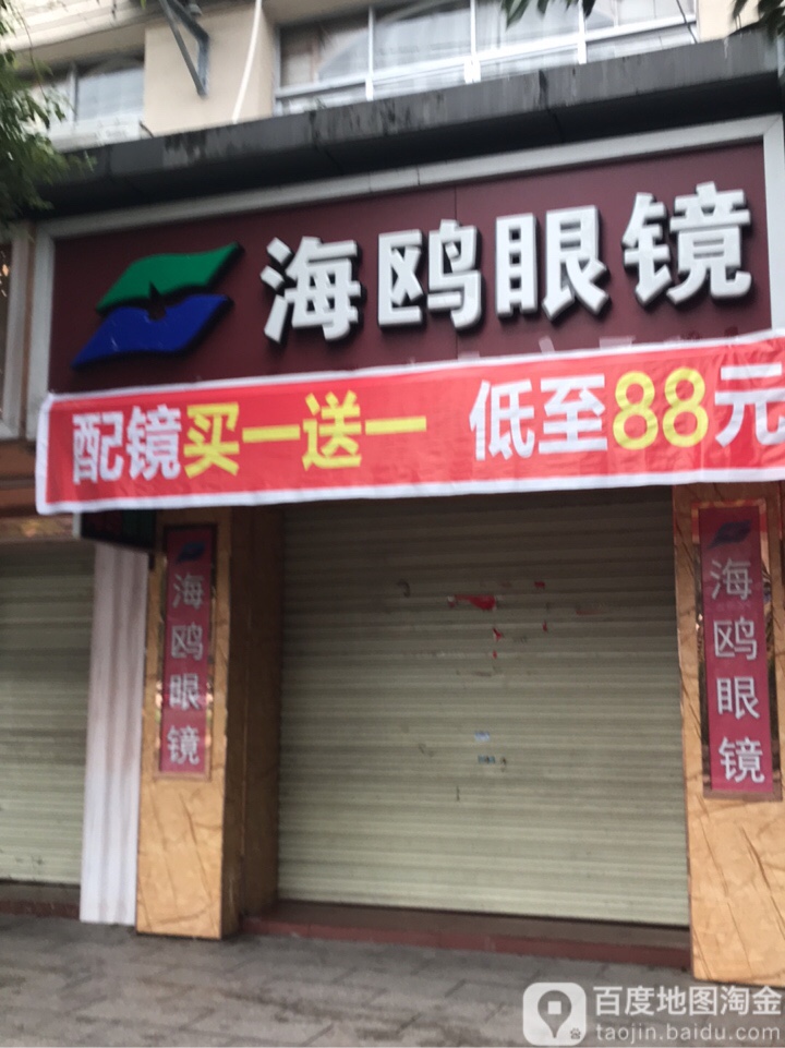 海鸥眼镜