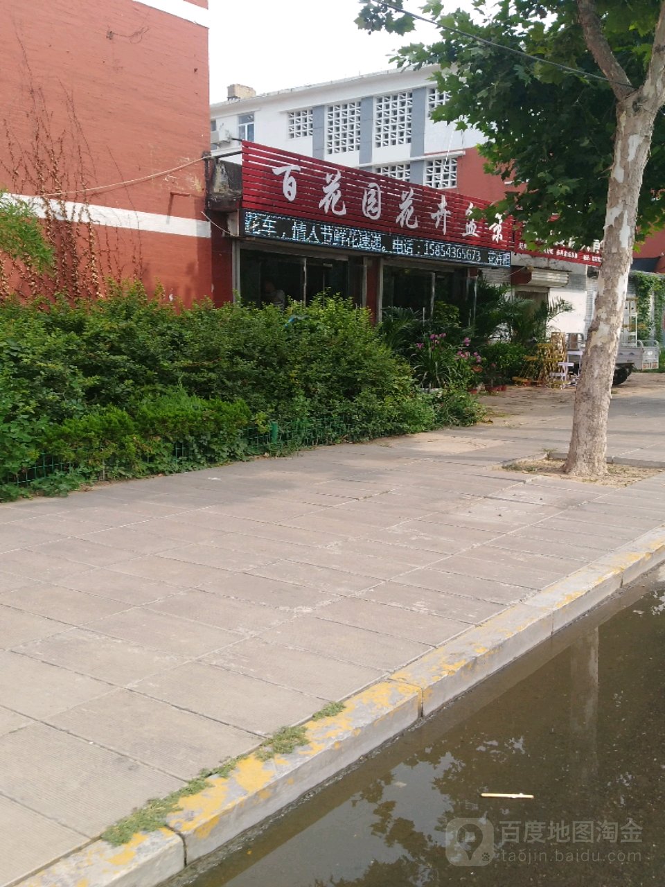 百花园花卉盆景