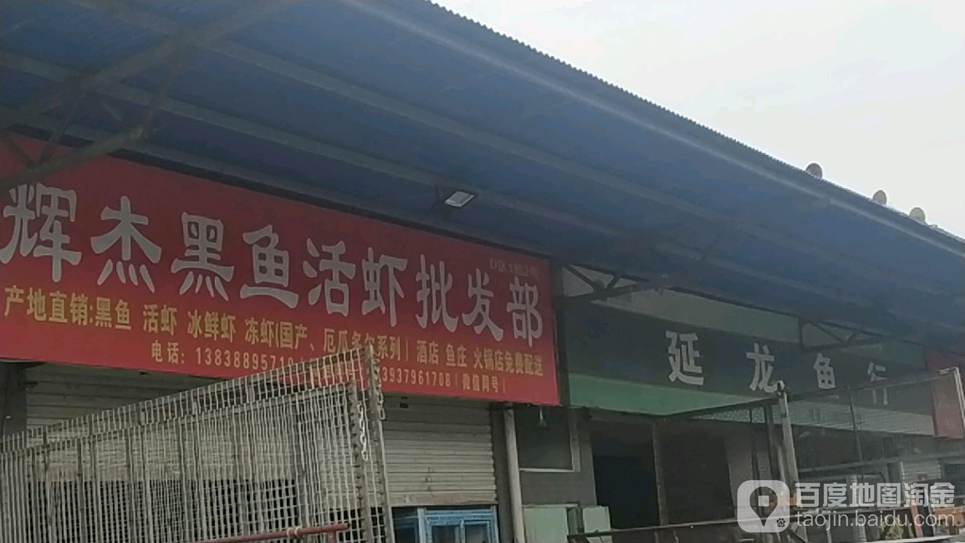 辉杰黑鱼活虾批fa部
