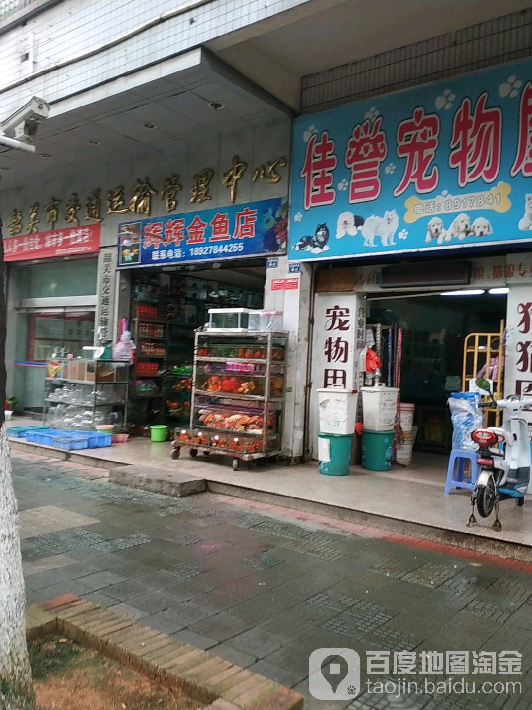 辉辉金鱼店