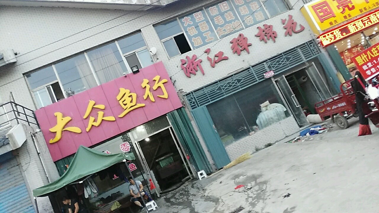 大众鱼行