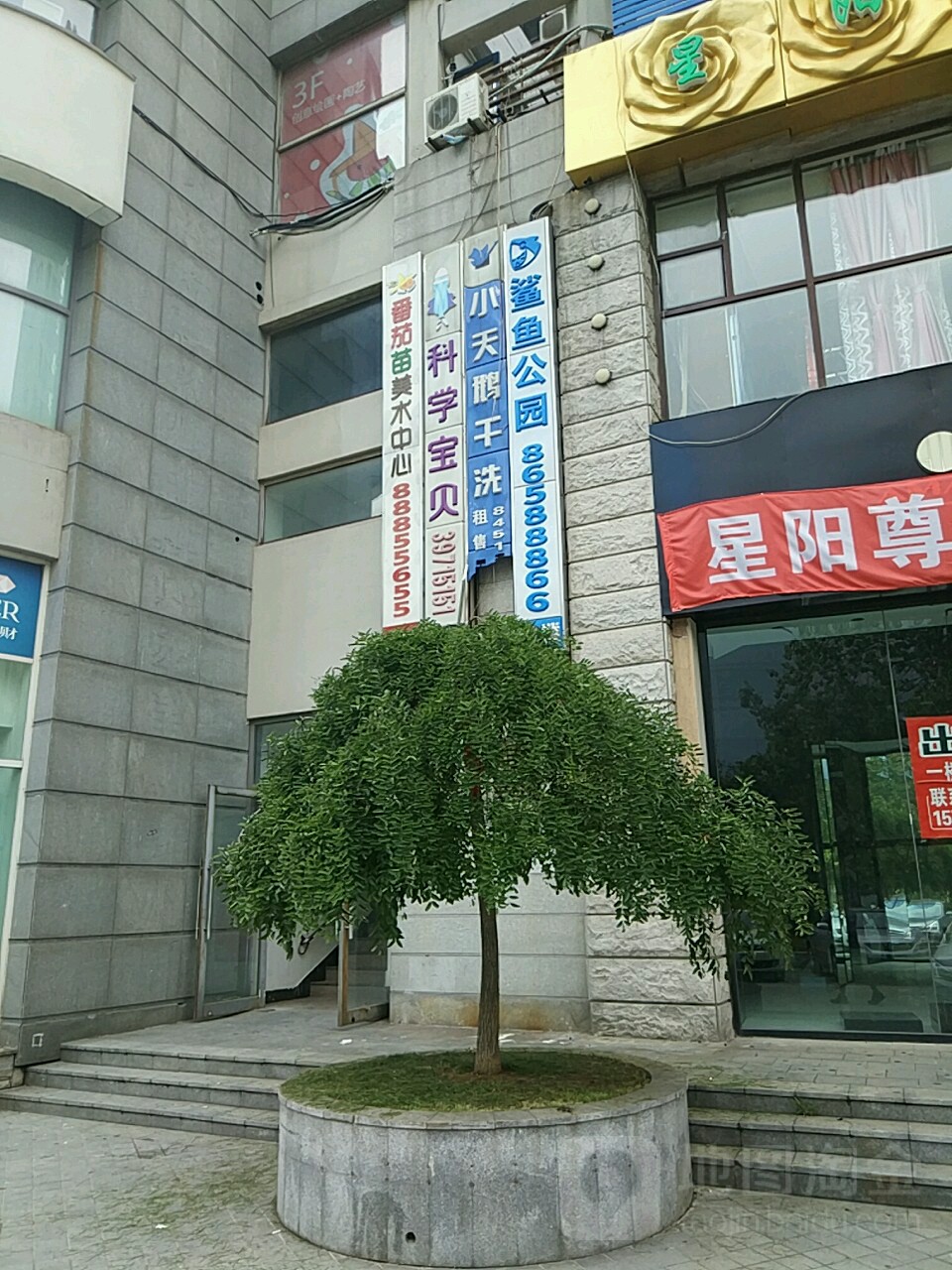 鲨渔公园