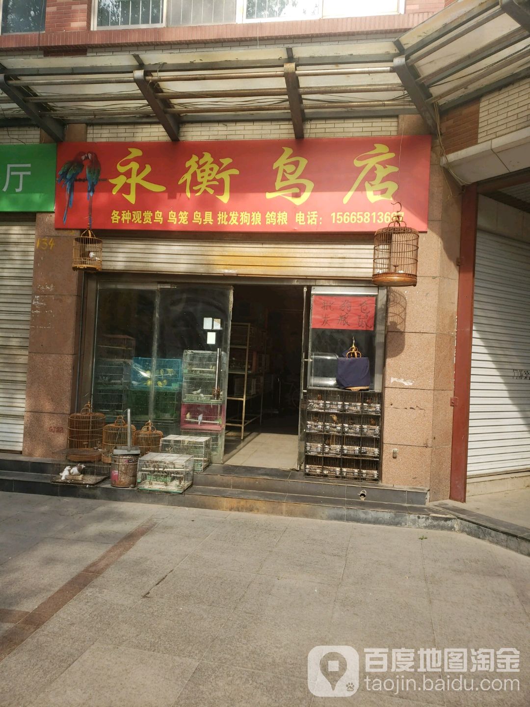 永衡鸟店