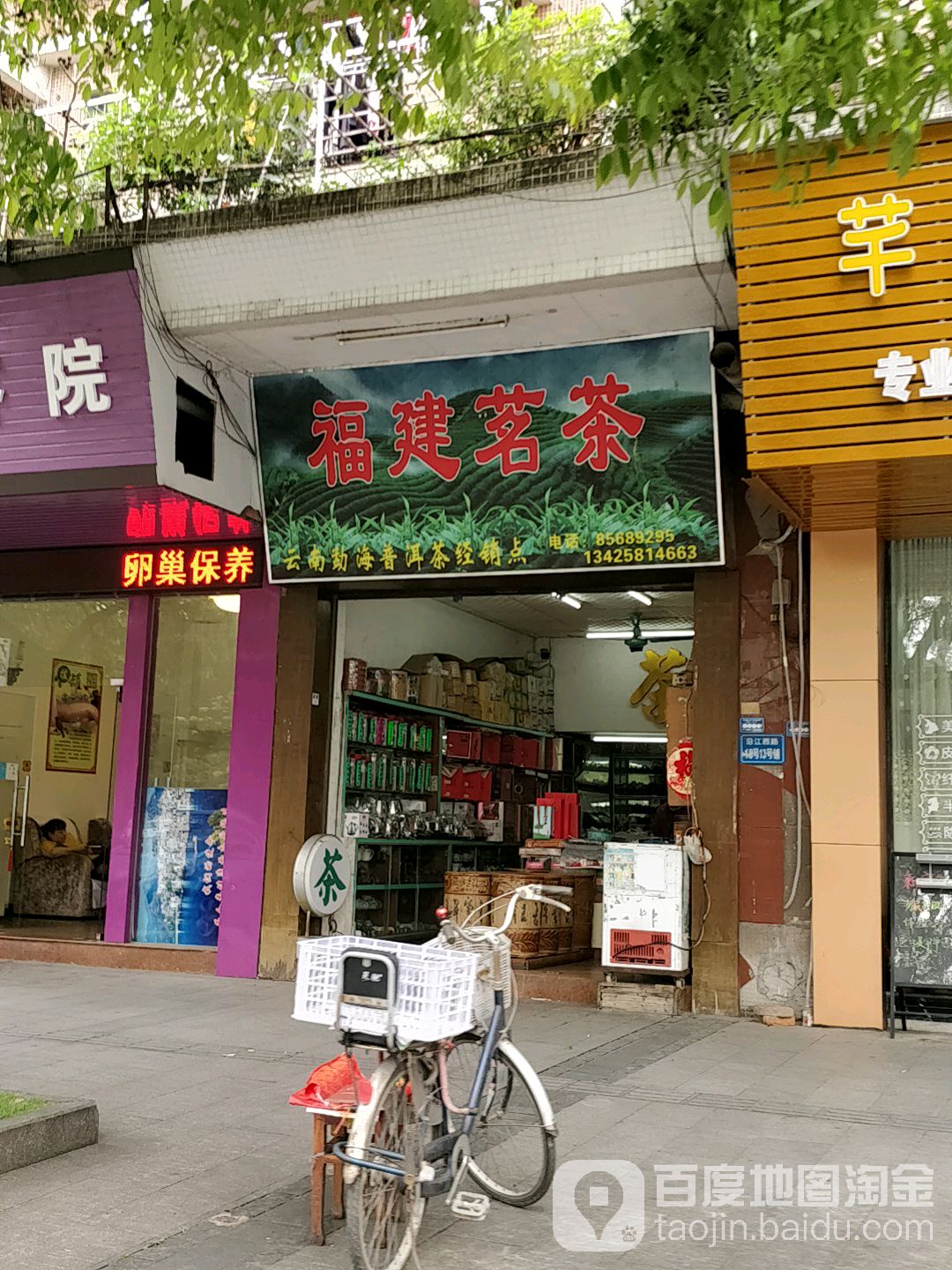 福建茗茶
