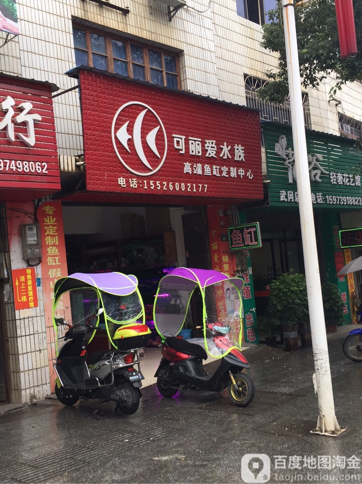 可丽爱水族(解放路店)